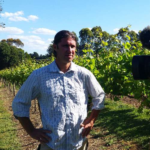 Ben Johnston, Weinbauexperte & Weinbergsleiter