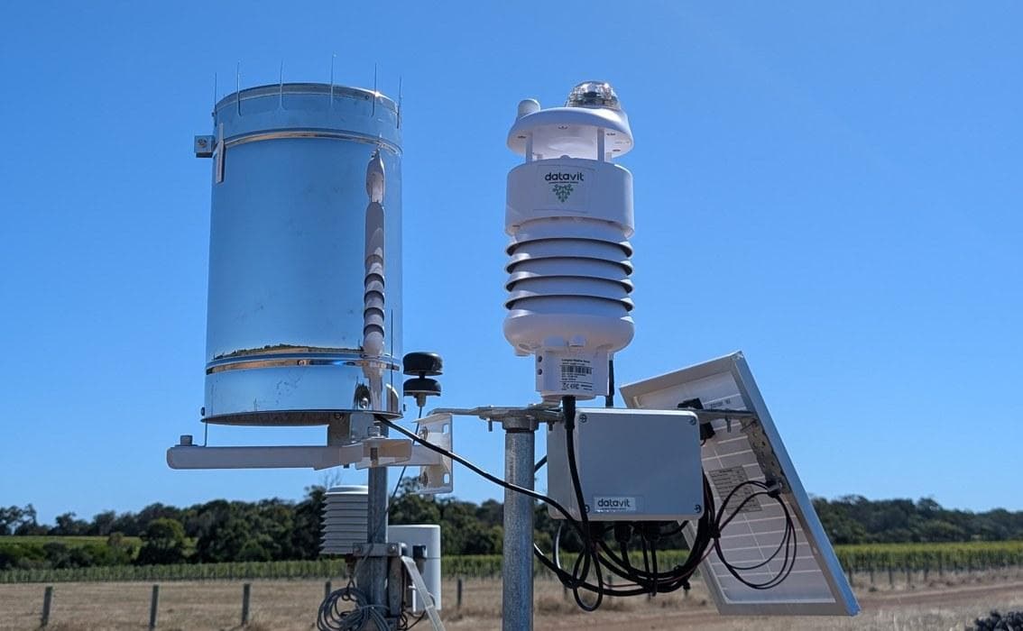 Eine DataVit-Wetterstation in einem Weinberg, mit Regenmesser, Sensoren und Solarpanel